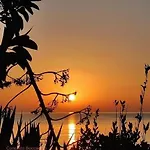 Chiocciola Sul Lungomare Tremoli, Parcheggio Gratuito 阿沃拉